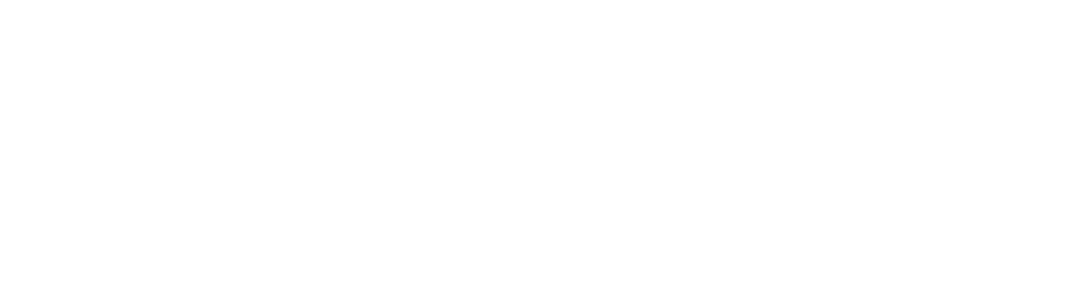 GUIDE